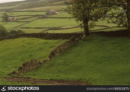 Stone Wall in Yorkshire
