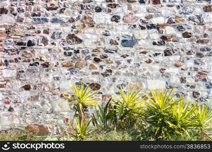 Stone wall with plants. particular of a stone house.