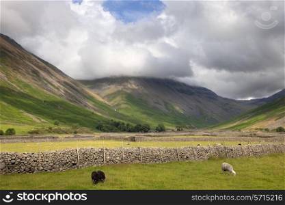 Stone walls at Wasdale Head, Cumbria, the Lake District, England.