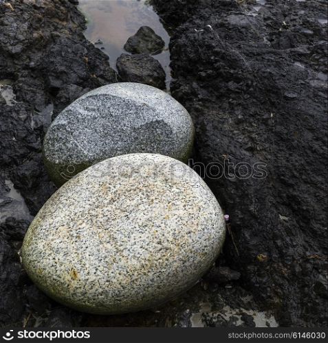 Stones along coastline, Pacific Rim National Park Reserve, British Columbia, Canada