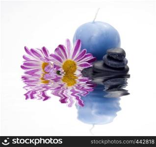 stones and flowers in water on white background