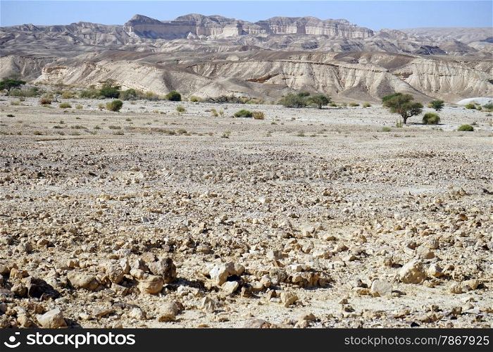 Stones and mountain in Negev desert in Israel