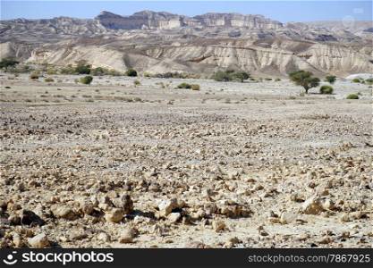 Stones and mountain in Negev desert in Israel
