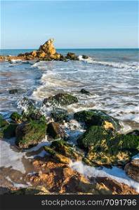 Stones covered with green algae on the Black Sea coast near the village of Fontanka, Ukraine. Stones at the edge of the sea