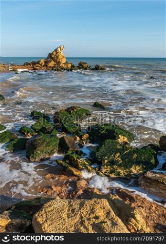 Stones covered with green algae on the Black Sea coast near the village of Fontanka, Ukraine. Stones at the edge of the sea
