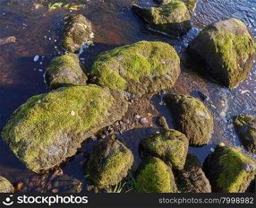 stones covered with moss in the water . stones covered with moss in the water