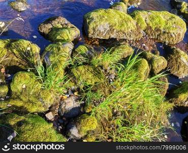 stones covered with moss in the water . stones covered with moss in the water
