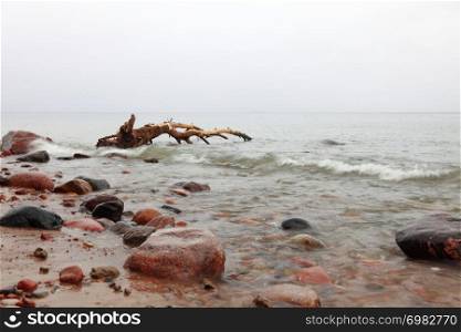 Stones in sea water autumn in Orlowo, Gdynia Poland