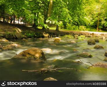 stones in woods forest outdoor. stream in gdansk danzig polish city oliva park poland. Nature.