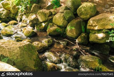 stones in woods forest outdoor. stream in gdansk danzig polish city oliva park poland. Nature.