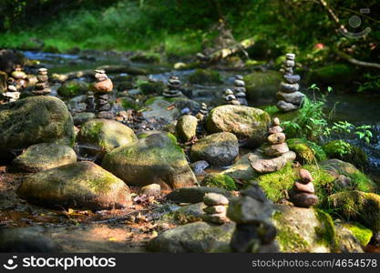 Stones on shore of forest river