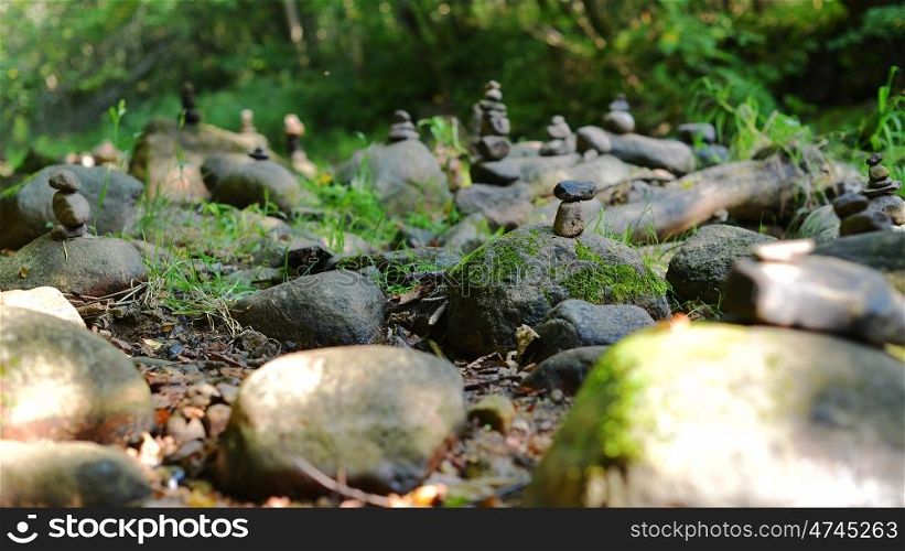 Stones on shore of forest river