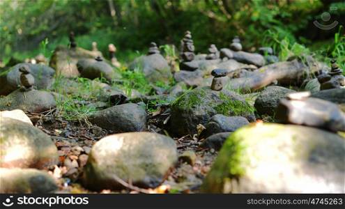 Stones on shore of forest river