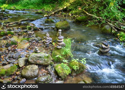 Stones on shore of forest river