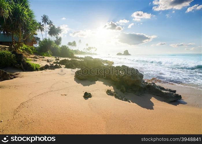 Stones on tropical beach of Indian ocean, Sri Lanka