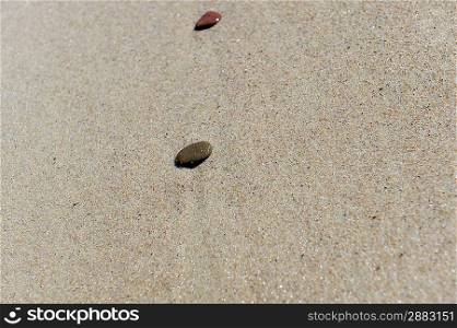 stones on wet sea sand. sand background
