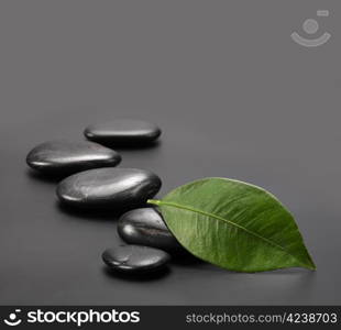 stones with green leaf