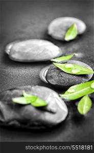 Stones with green leaves and water drops. Black and white zen stones submerged in water with color accented green leaves