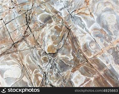 Stony background macro with interesting abstract tracery.
