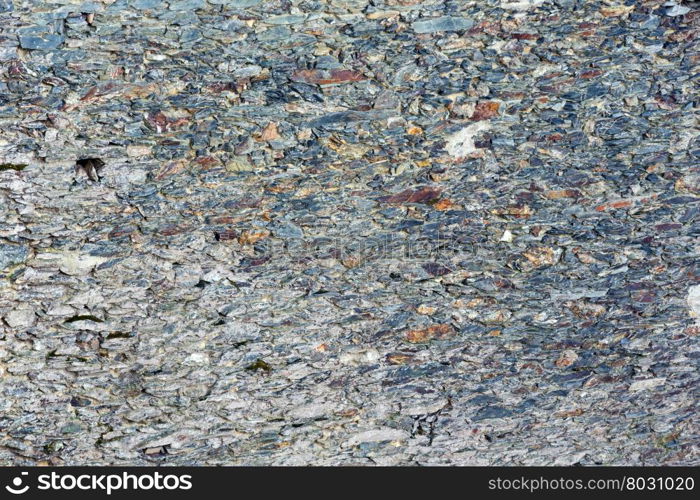 Stony background macro with interesting abstract tracery.