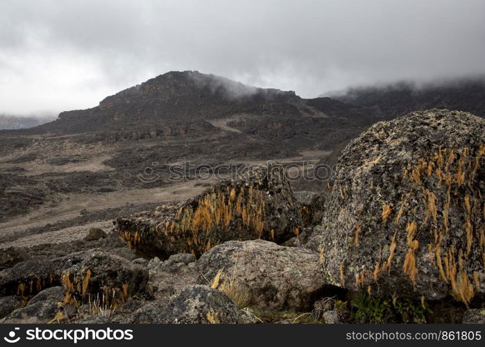 Stony desert bare without plants on the way to the peak Uhuru Peak