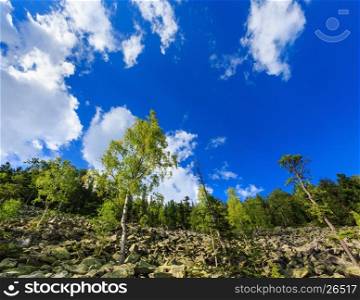 Stony mountain slope summer view with sky and cumulus clouds, and birch trees (Ihrovets, Carpathian, Ukraine).