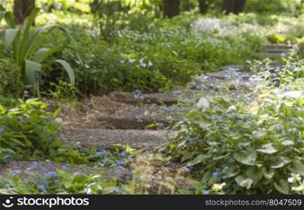 Stony stairs in the green blooming garden. stone path in a Park overgrown with flowers. selective focus