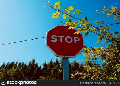 stop traffic signal on the road on the street