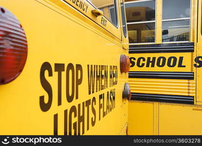 Stop When Red Lights Flash on School Bus