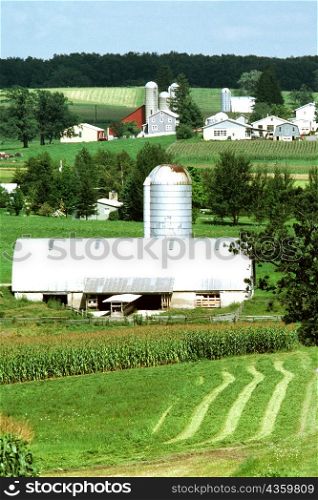 Storage silos on a field