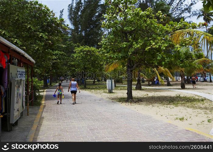 Store and trees on the beach, Luquillo Beach, Puerto Rico