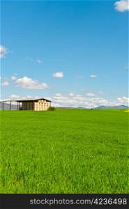 Storehouse on the Green Sloping Meadows of Tuscany