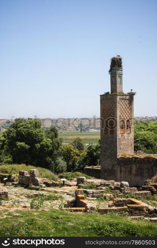 Stork nesting on ancient site