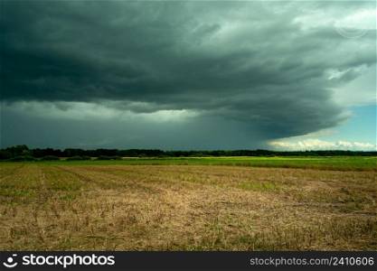 Storm cloud with rain over the fields, Czulczyce, Lubelskie, Poland