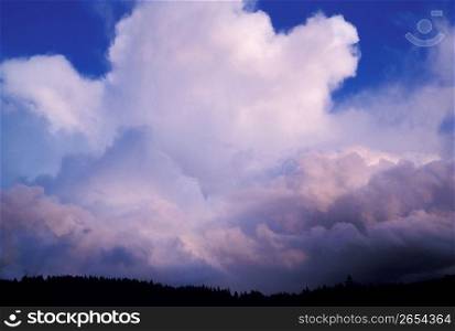 Storm clouds over forested landscape
