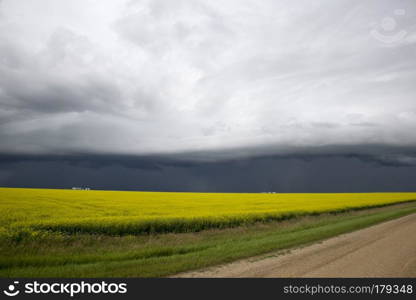 Storm Clouds Saskatchewan shelf cloud ominous warning