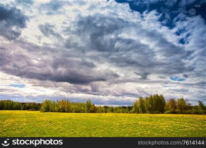 Storm clouds, spring blooming dandelion meadow. Rainy weather, overcast sky. Summer rural Belarus landscape