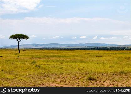 Storm on the savannah and hills of Maasai Mara . Storm on the savannah and hills of Maasai Mara Park in North West Kenya