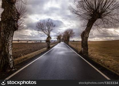 Straight asphalt road between trees with dramatic winter sky