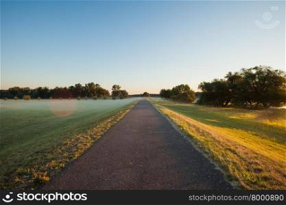 Straight path with fog layer cresting over it, Frankfurt (Oder), Germany