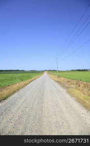 Straight road