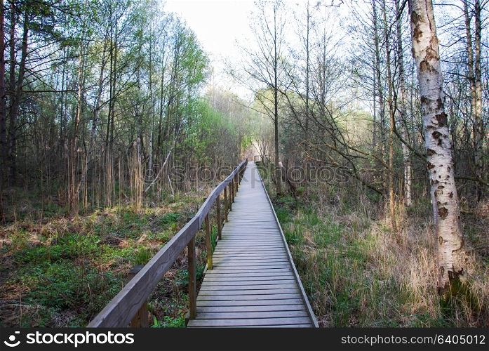 Straight wooden footpath at springtime
