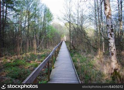 Straight wooden footpath at springtime