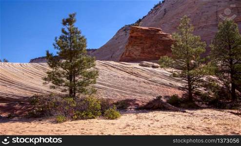 Strange Rock Formation and Checkerboard Mesa in Zion