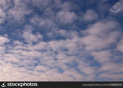 Stratified White Clouds In A Blue Sky