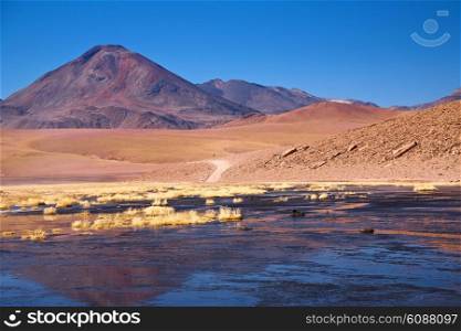 stratovolcano Cerro Colorado near Rio Putana in Atacama region, Chile
