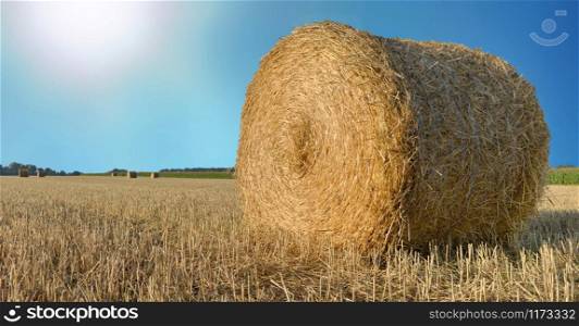 straw bale in a field under sunny blue sky