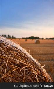 straw bale on field in autumn