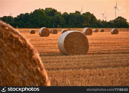 straw bale on field in autumn