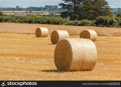 Straw bales in a field after harvesting in Brittany